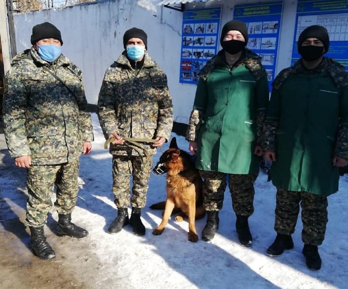 Гвардейцы с собакой стоят возле учреждения
