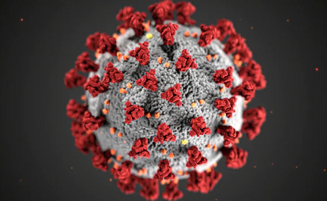 Коронавирус SARS-CoV-2. Фото: CDC 24/7 (cdc.gov)