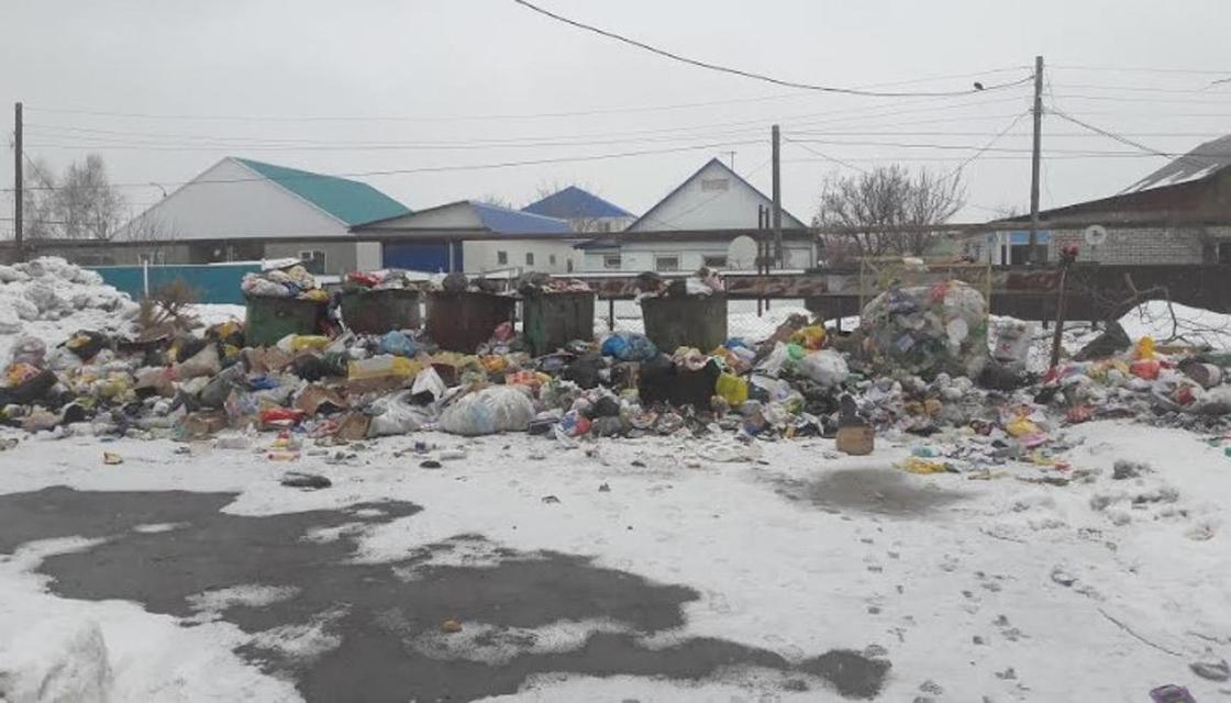"Полнейшая антисанитария": жители Уральска пожаловались на грязь и мусор в городе
