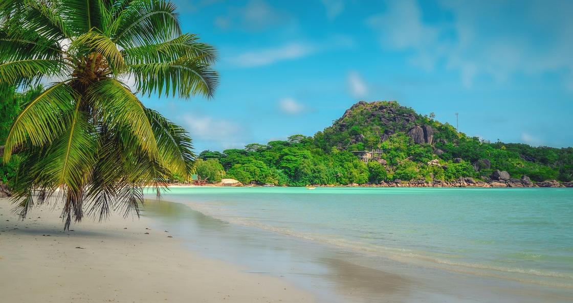 Вид на океан, пальмы и тропическую растительность Сейшел
