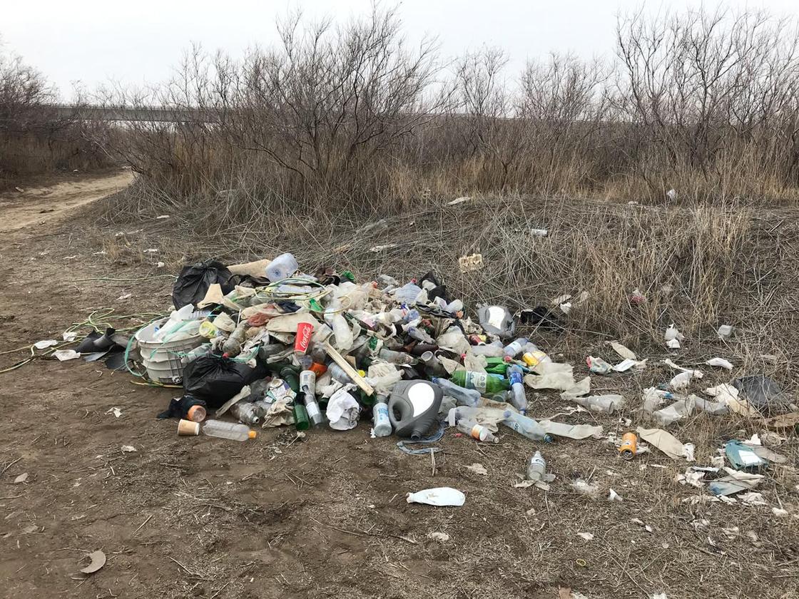 52 тонны мусора и 4,3 тонны мертвой рыбы собрали на субботнике с берегов реки в Атырау