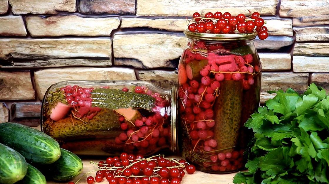 огурцы крокодильчики рецепт на зиму. 6b491e00c8be84cd. огурцы крокодильчики рецепт на зиму фото. огурцы крокодильчики рецепт на зиму-6b491e00c8be84cd. картинка огурцы крокодильчики рецепт на зиму. картинка 6b491e00c8be84cd. Огурцы на зиму можно заготовит по-разному. Невероятно вкусными получаются огурчики в томатном соусе. Все ингредиенты в этом рецепте натуральные. Даже пасту с легкостью приготовим сами из свежих помидоров. Салат получается очень сочным и пикантным. Просто объедение!