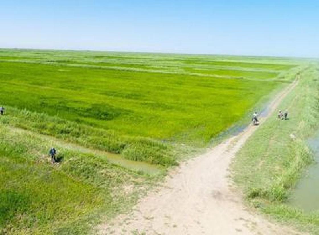В Кызылординской области планируют увеличить объем орошаемых земель до 332 тысяч гектаров В Кызылординской области планируют увеличить объем орошаемых земель до 332 тысяч гектаров