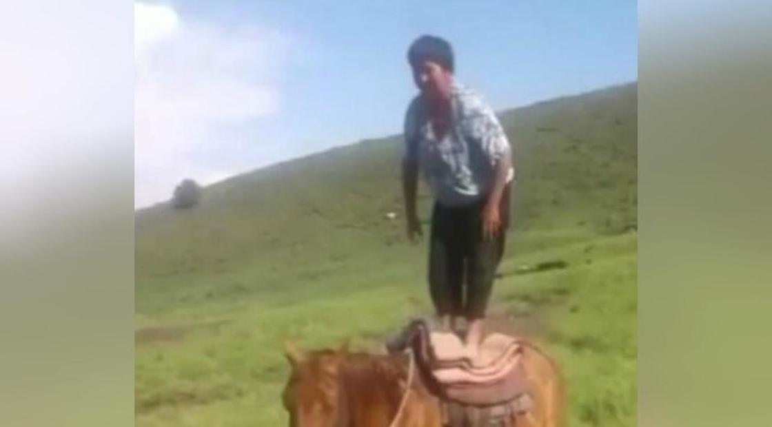 Видео зажигающей на коне под казахскую песню женщины покорило Сеть Видео зажигающей на коне под казахскую песню женщины покорило Сеть