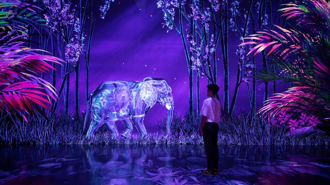 Музей цифрового искусства