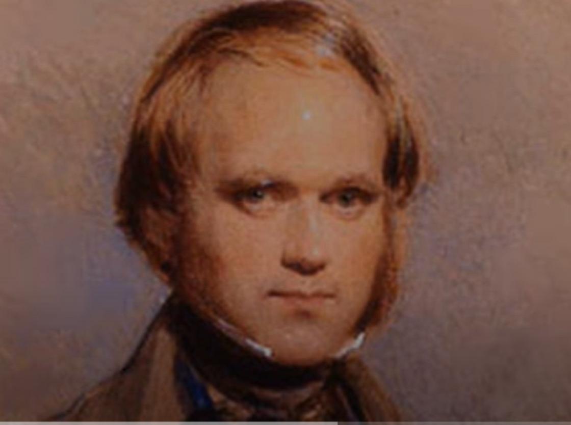Чарльз Дарвин в молодости с бакенбардами и длинными волосами, тугим воротником под подбородком
