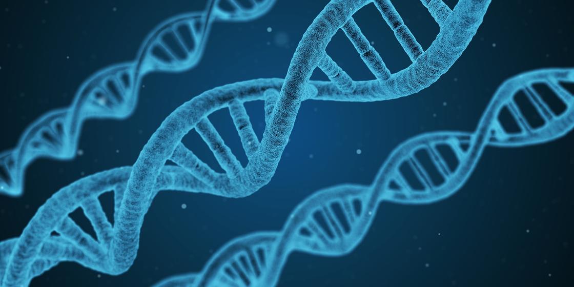Три спирали ДНК