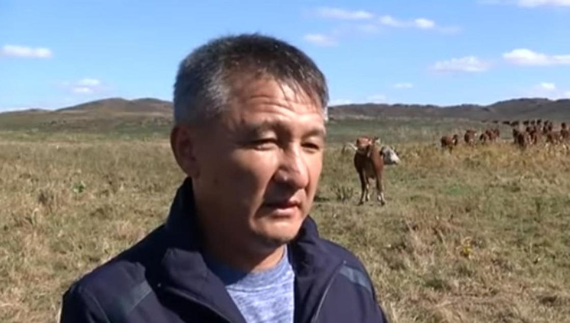 Казахстанец отказался от жизни в Канаде и переехал в аул