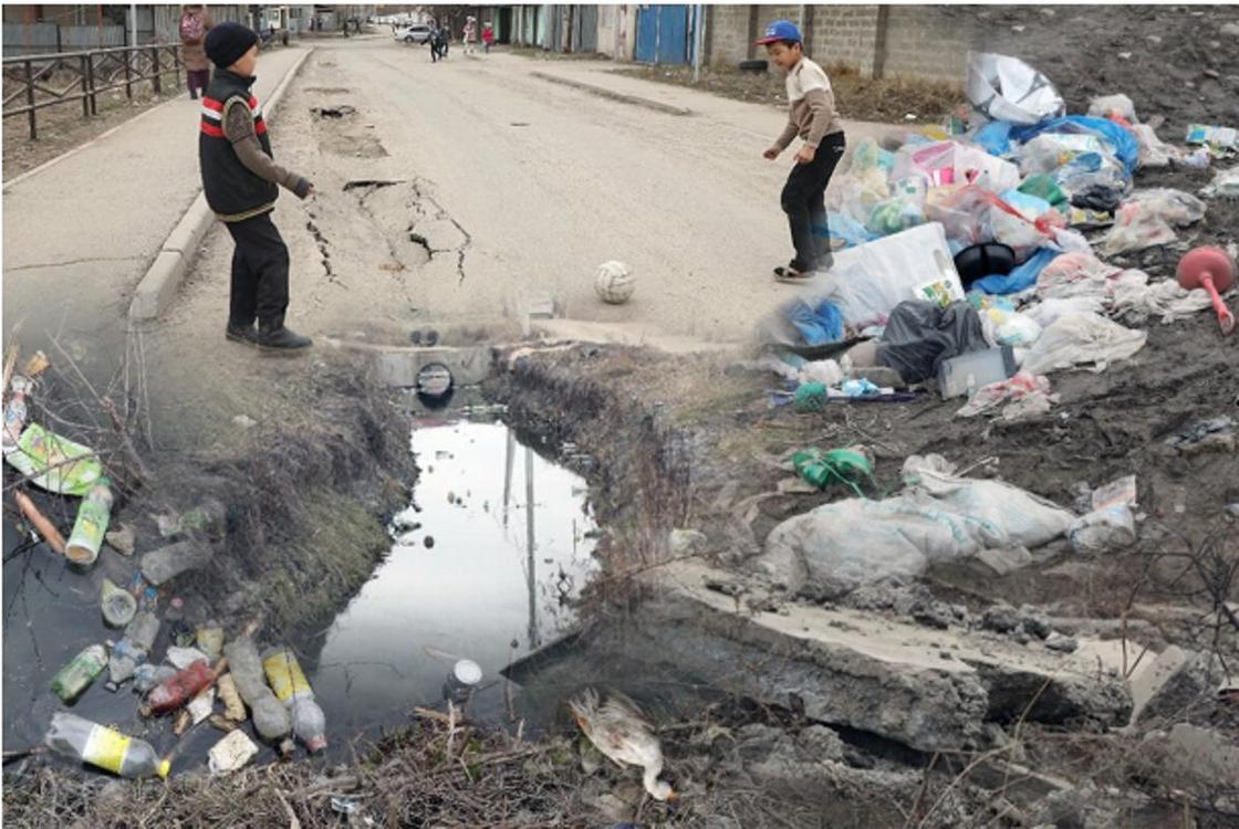 "Живем среди мусора": жители Алатауского района жалуются, что их игнорируют