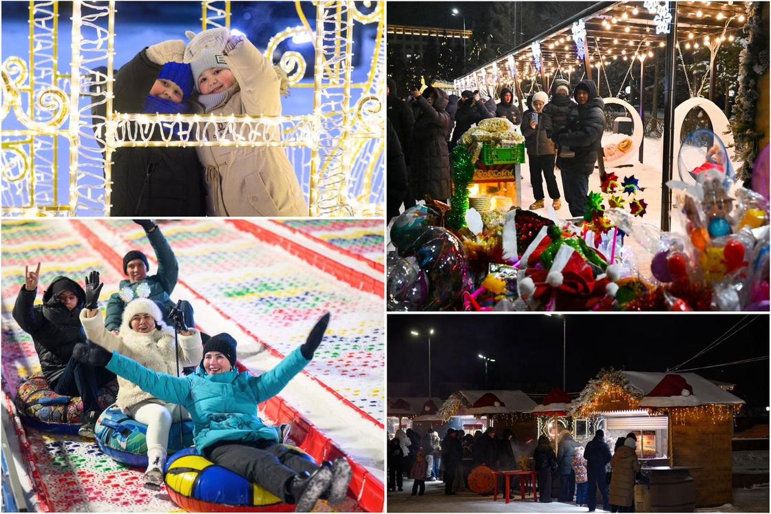 Главную новогоднюю елку зажгли в СКО