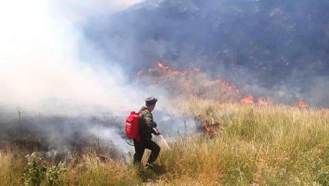 Пожар произошел на склоне горы в Алматы (фото)