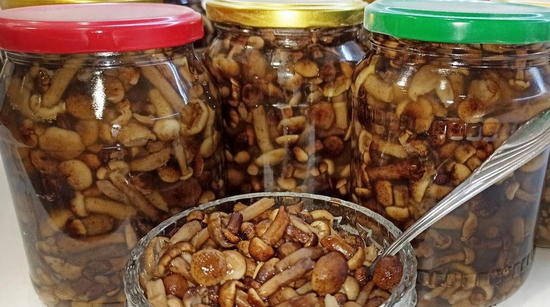 Маринованные опята на зиму Маринованные опята на зиму
