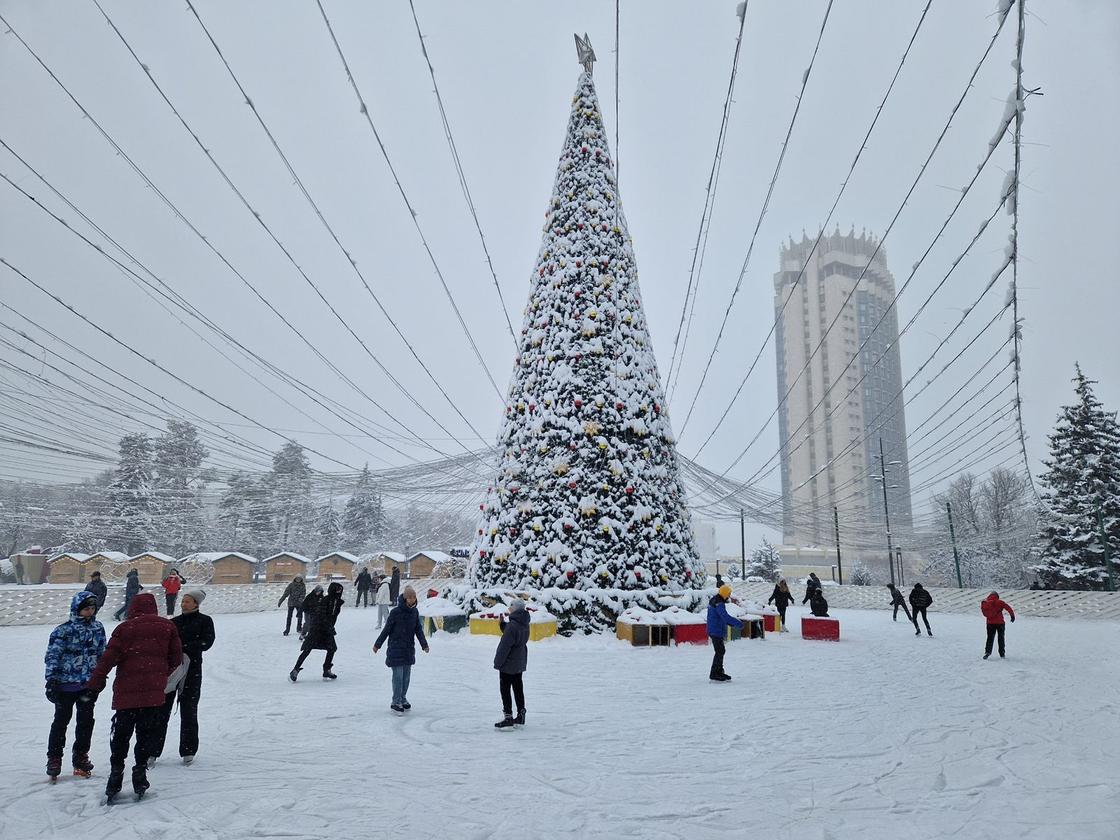 Люди на коньках