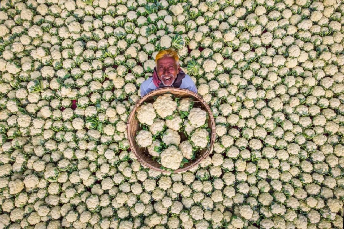Фермер с корзиной цветной капусты