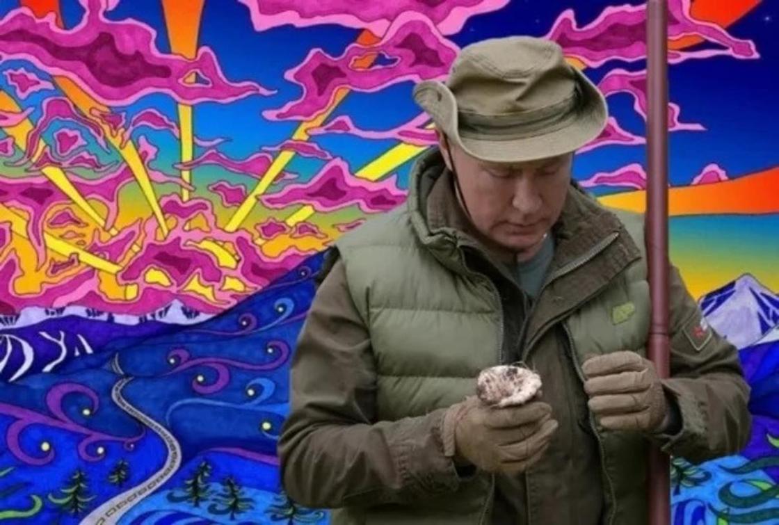Видео поездки Путина в тайгу разошлось на мемы