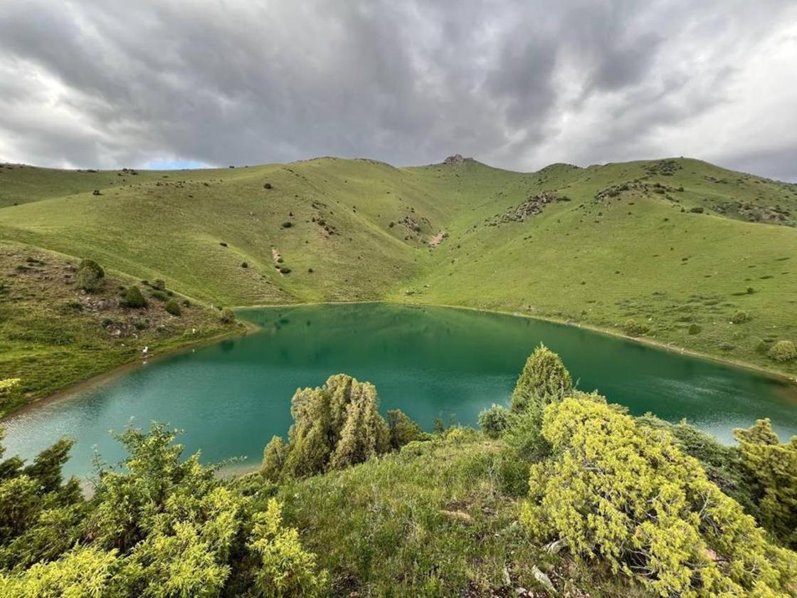 Мерке паркі