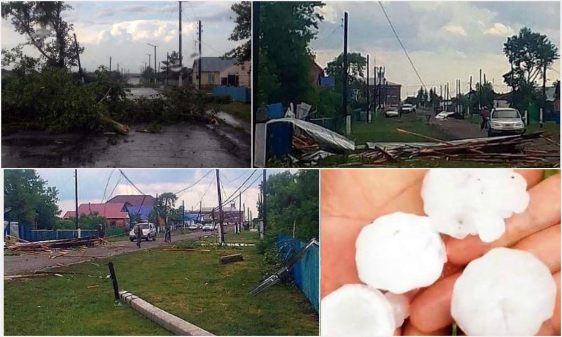 Ураган на севере Казахстана: сорваны крыши, повалены столбы и деревья (фото)
