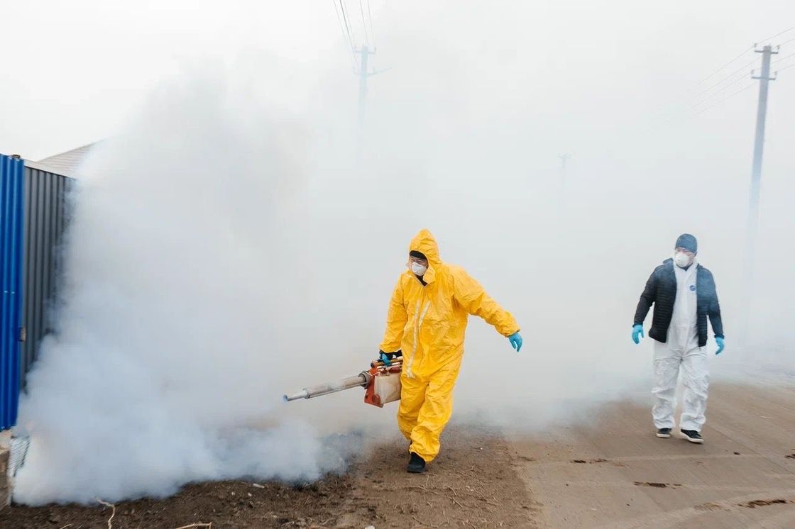 Дератизация