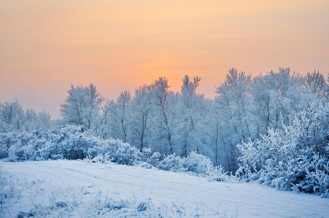 Мороз до 33 градусов ожидается в Казахстане