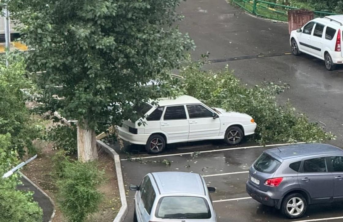 Последствия урагана Последствия урагана
