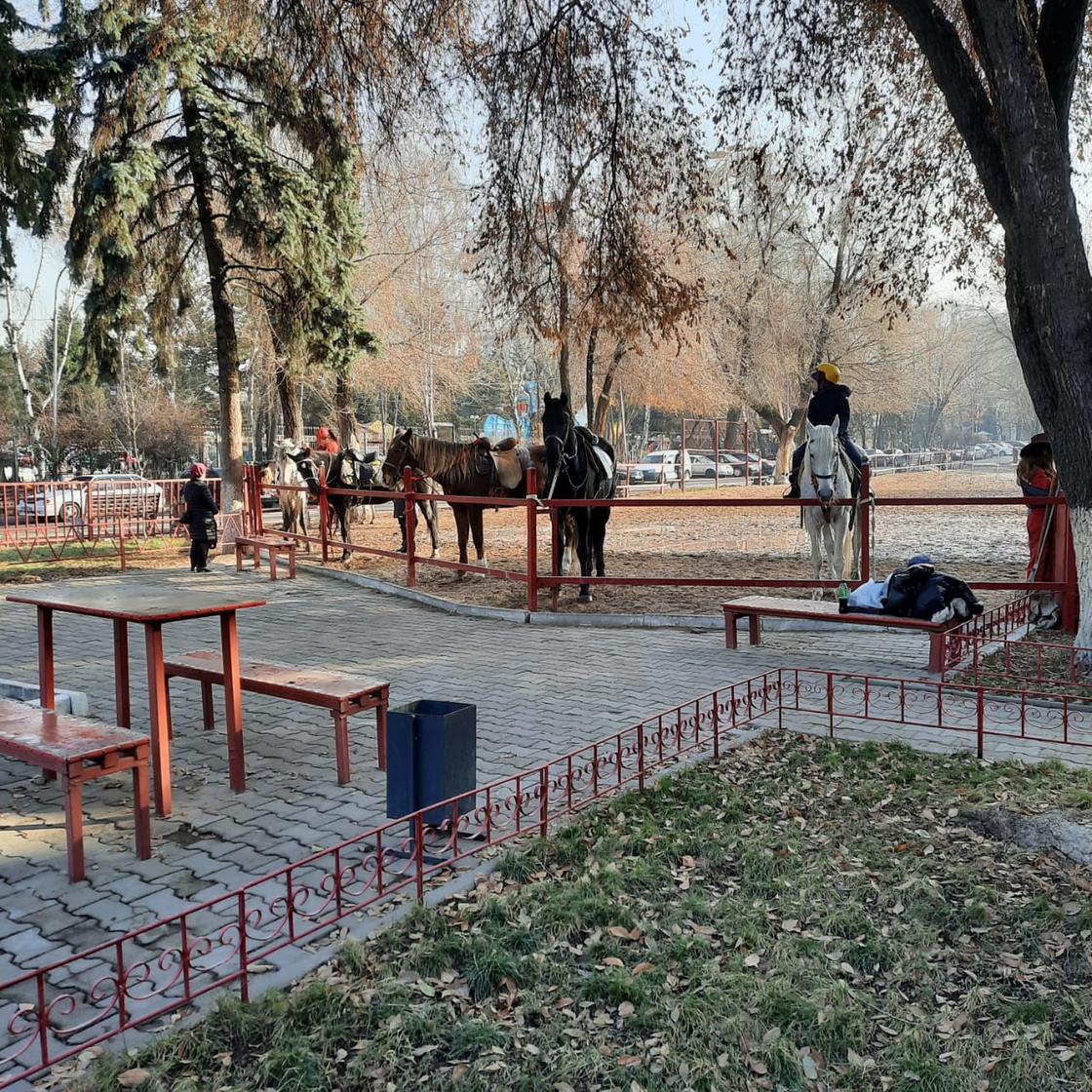 Цирк в Алматы