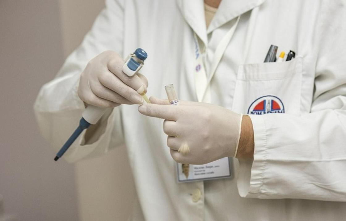 Сибирская язва распространяется в Акмолинской области: 5 человек госпитализированы
