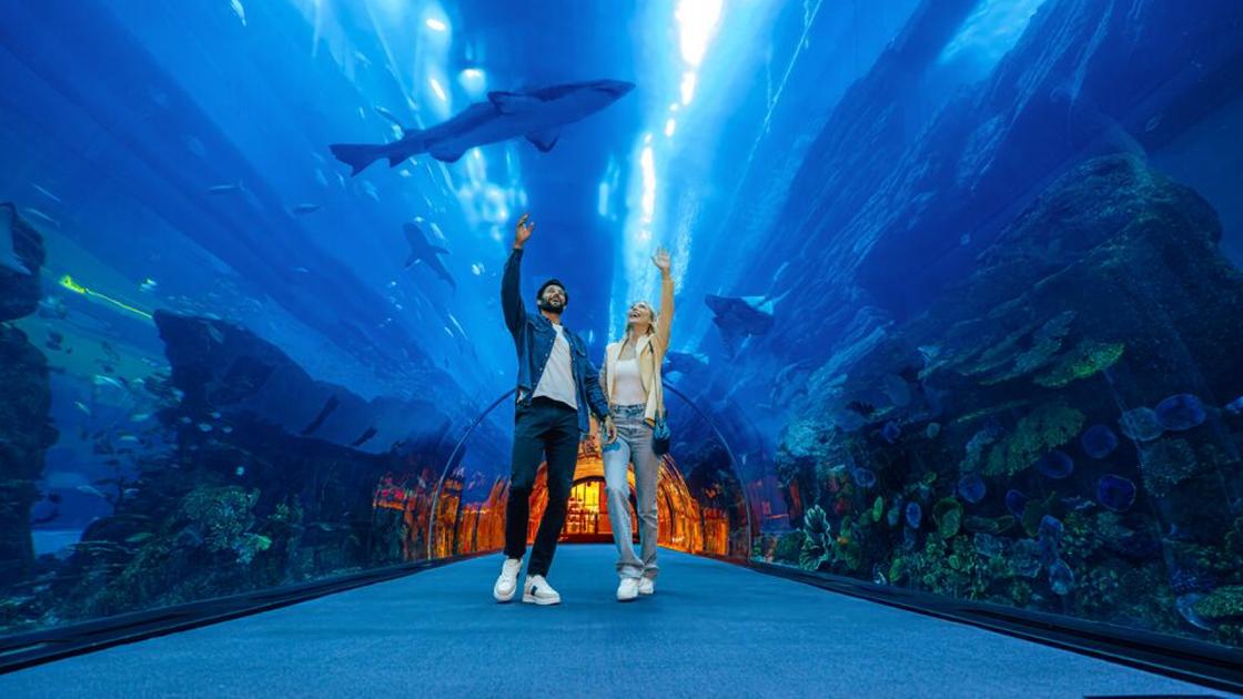 Департамент Туризма Дубая