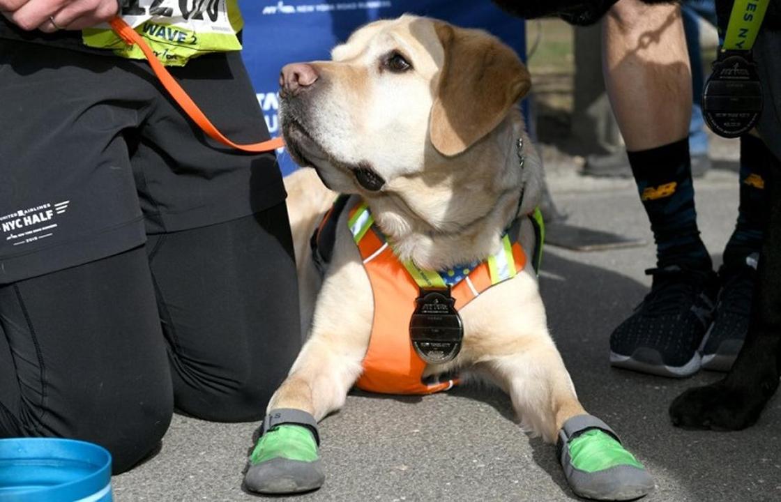 Впервые в мире: Слепой мужчина пробежал марафон с помощью собак-поводырей