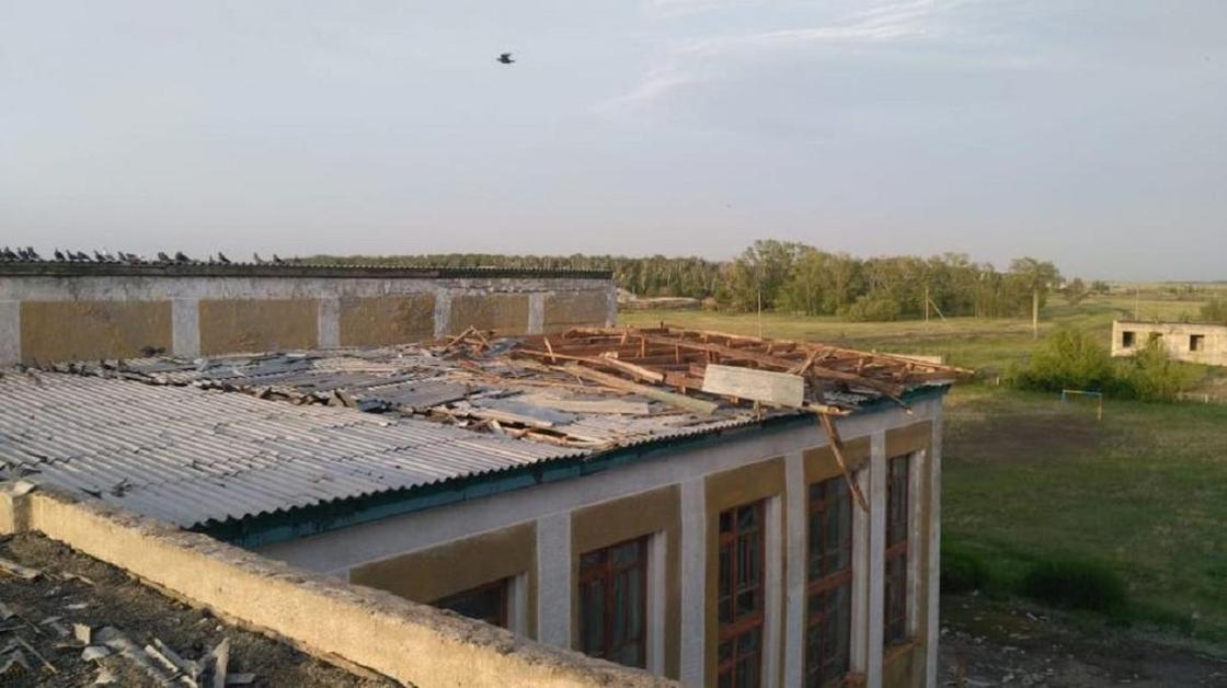Срывало крыши, повалило деревья: сильный ураган прошел по Павлодару (фото, видео)