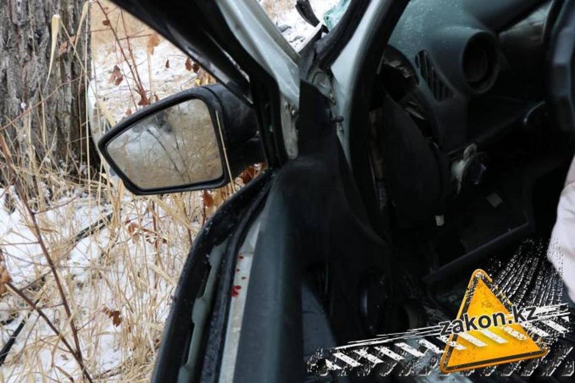 Lada вылетела с трассы и врезалась в дерево в Алматинской области (фото, видео)