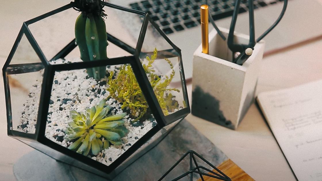 На столе стоит флорариум из коробок от дисков с черными гранями и растениями-суккулентами внутри. Рядом стоит коробка с канцелярскими принадлежностями
