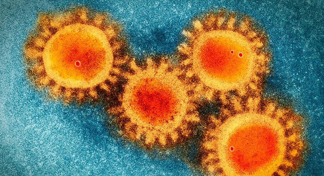 Конец слухам о коронавирусе: ученые сделали заявление о природе SARS-CoV-2