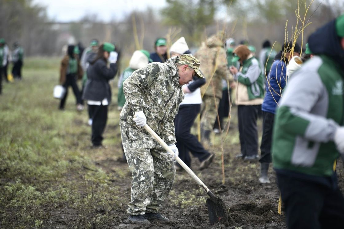 Оралда 1000 түп ағаш көшеті отырғызылды