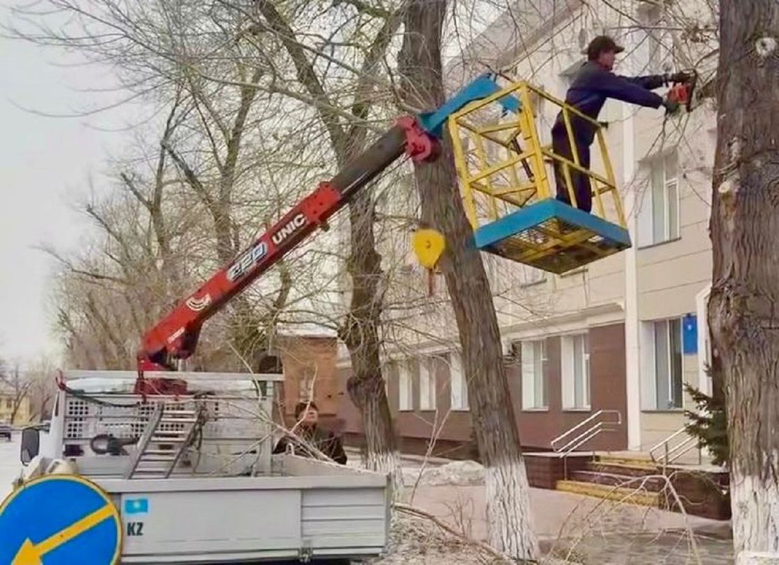 Таза Павлодар