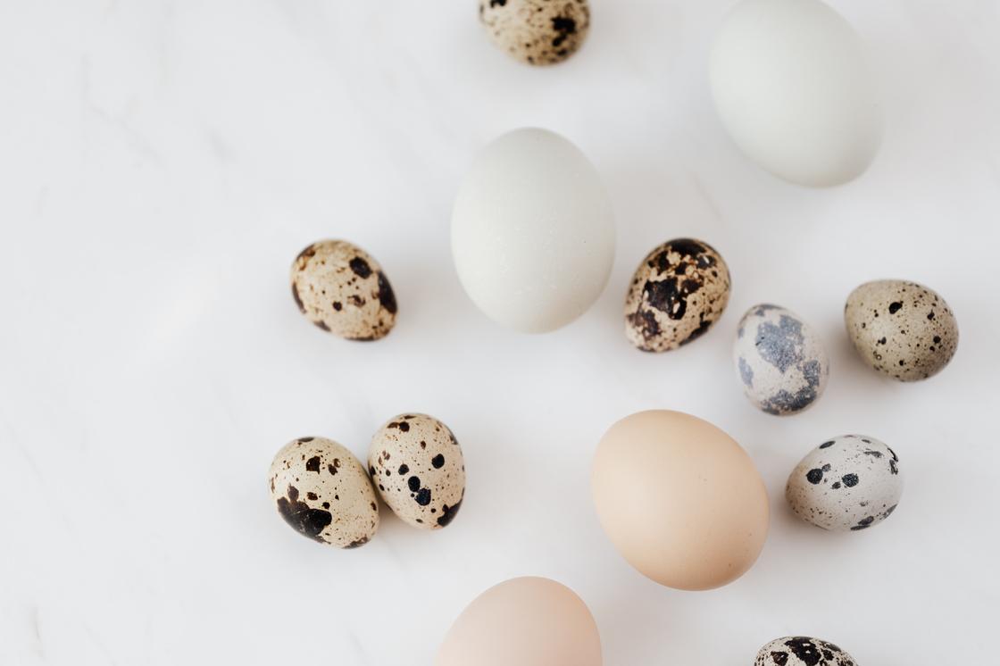 Разноцветные куриные яйца и яйца куропатки на белом фоне