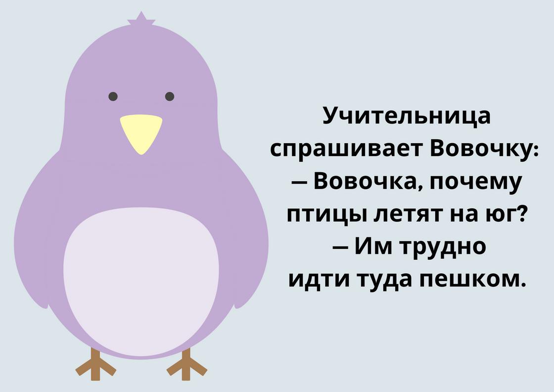 Анекдоты про животных Анекдоты про животных