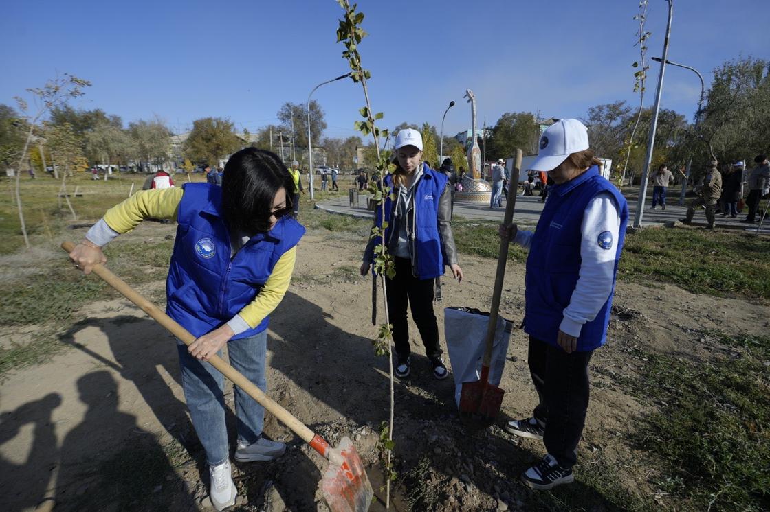 Ұлытау облысында 3000-нан аса ағаш отырғызылды