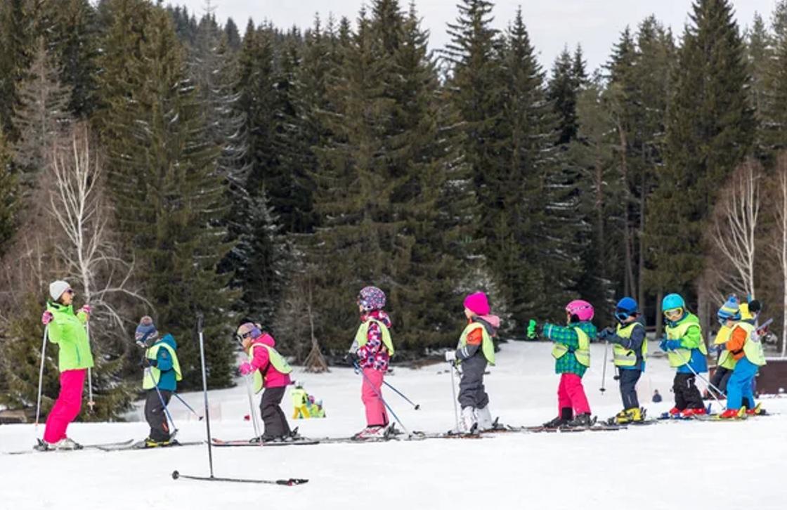 Группа детей на лыжах