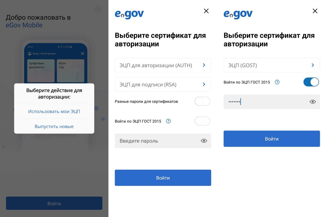 Авторизация в приложении eGov Mobile