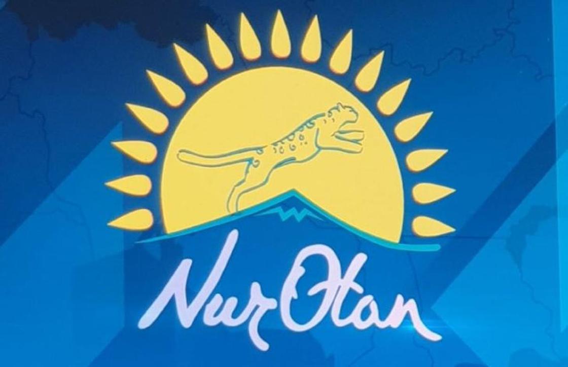 На латинскую графику перенесли название партии "Нур Отан" на казахском языке