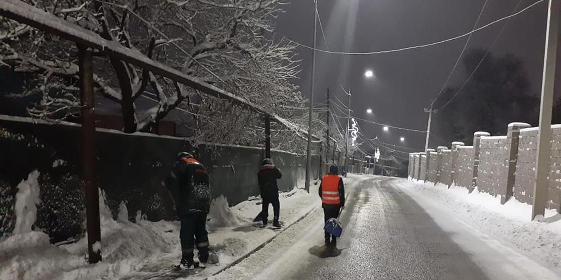 Обильный снегопад прошел в Алматы: упало несколько деревьев