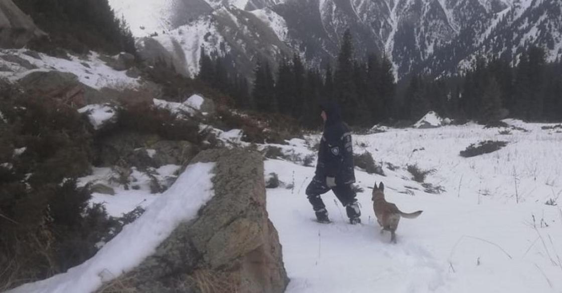 Спасатели-альпинисты присоединились к поискам пропавшей в горах алматинки