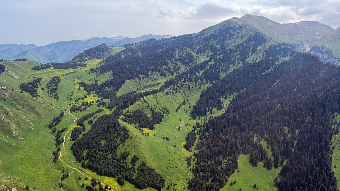 Виды на природу Алматы