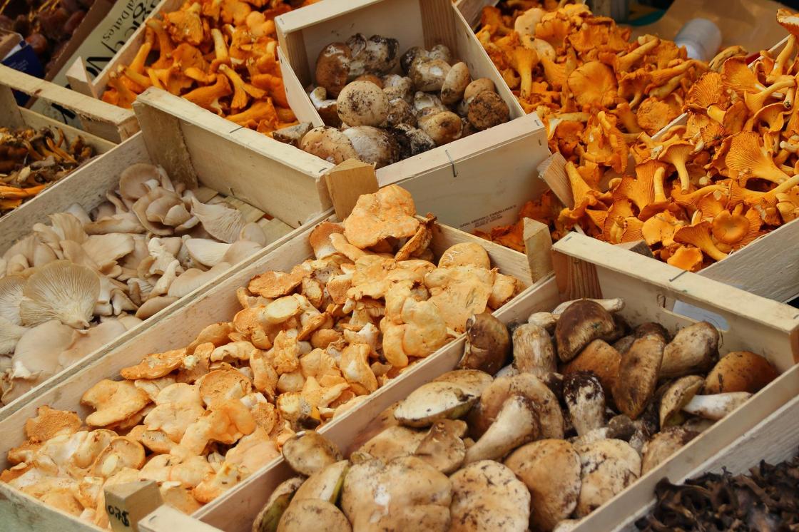 Разные грибы в ящиках