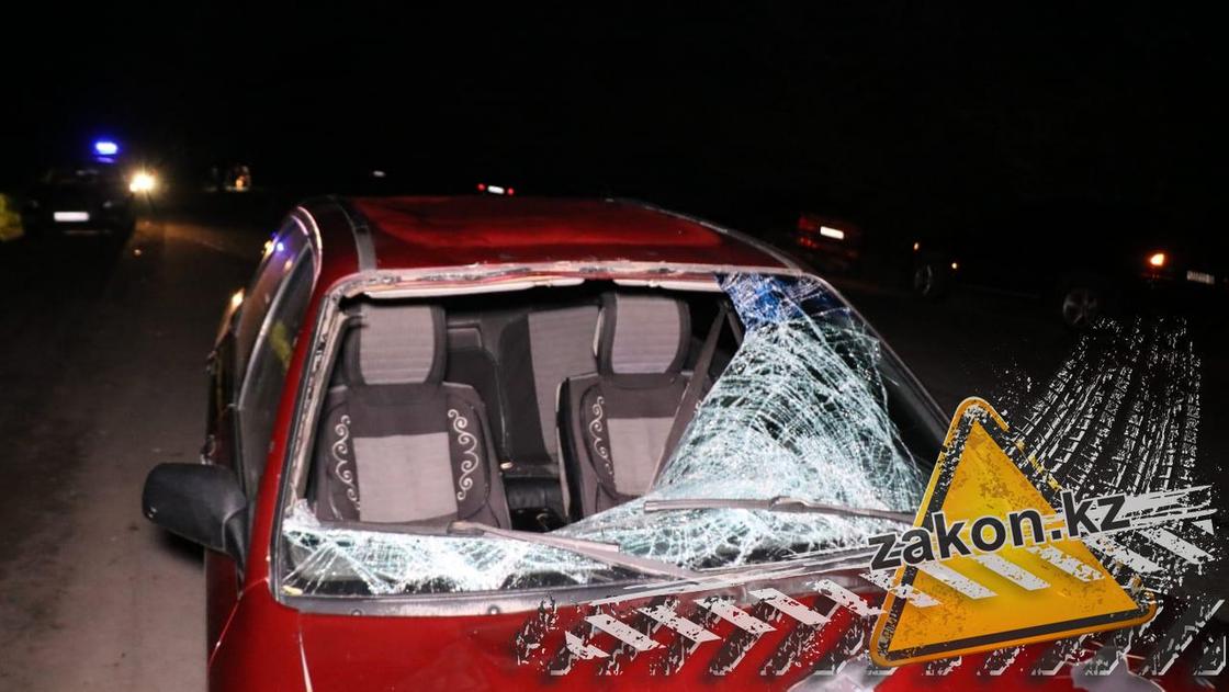 Mitsubishi насмерть сбил пешехода на Кульджинской трассе (фото)