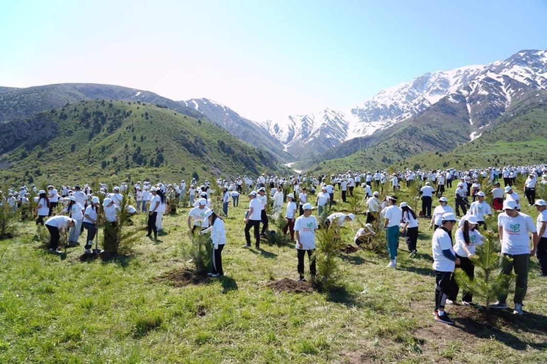 Акция "Таза Қазақстан" в Туркестанской области