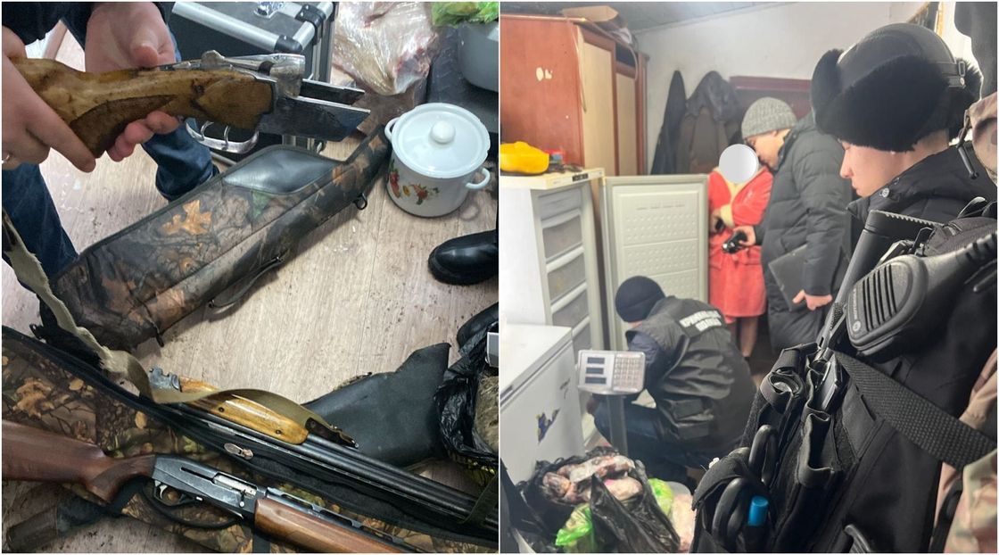 Следственные действия