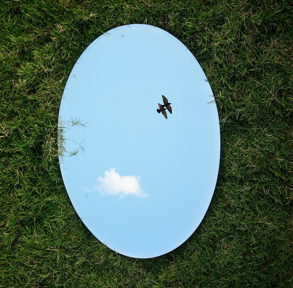 Зеркало на зеленой траве