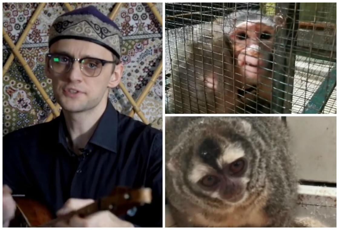 Акын Акыныч показал страшное видео с замученными животными в контактном зоопарке Шымкента