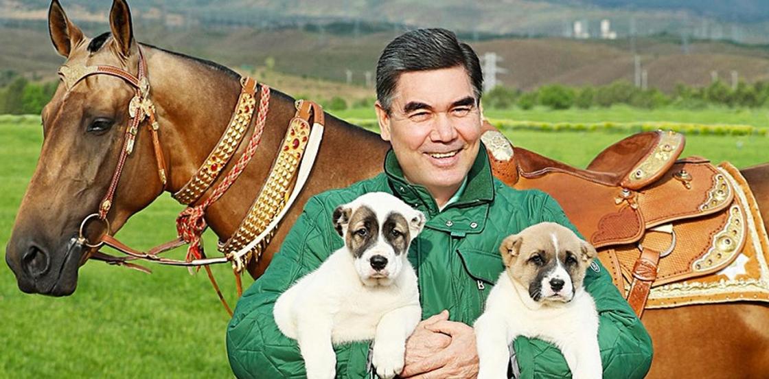 Президент Туркмении напишет книгу об алабаях